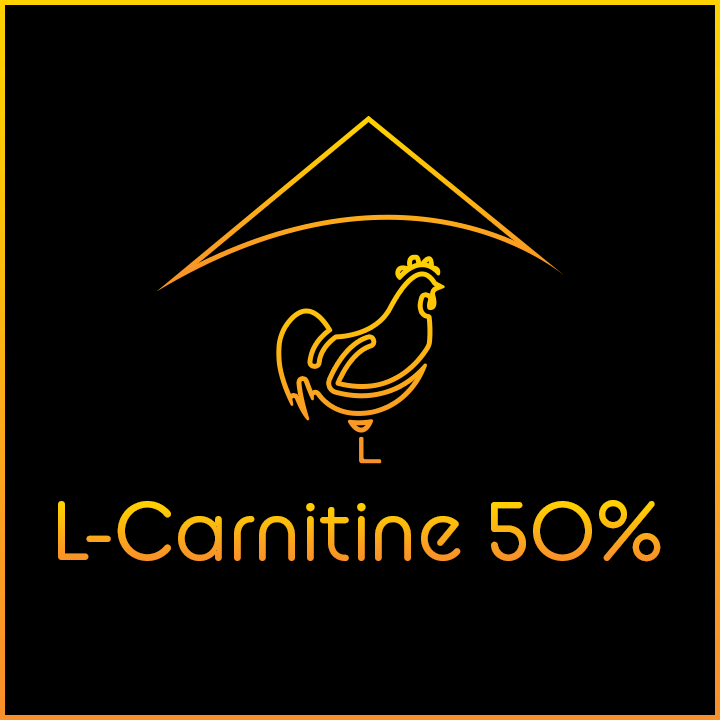 green coffee & l carnitine Green Coffee & L-Carnitine green coffee & l carnitine Green Coffee & L-Carnitine