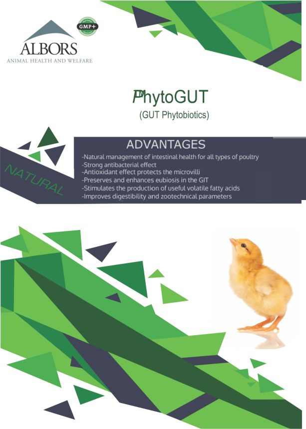 ALBOVIT® Phytogut