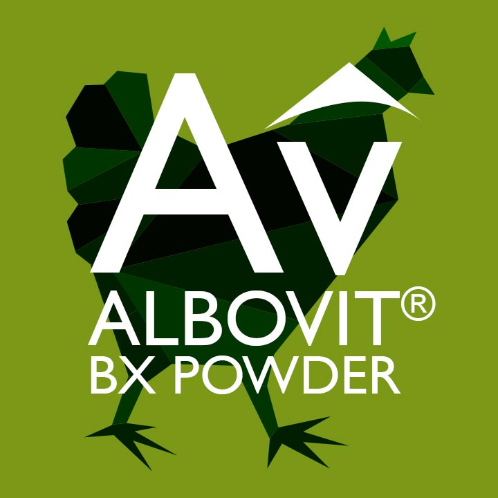 ALBORS | ALBOVIT® BX POWDER
